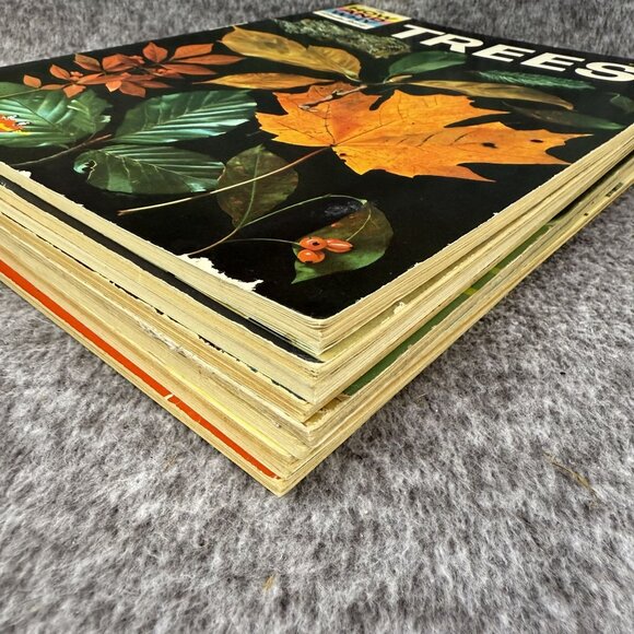 ✅How and Why Wonder Books Vintage 1960's Kids Reference Books Lot of 9 - Picture 10 of 10